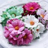 Daisy flower set - mix of pink and green - 25 pcs