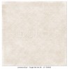 Double sided scrapbooking paper - Forget Me Not 06