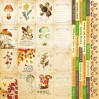 Scrapbooking paper - Fabrika Decoru - Botany autumn cards - Pictures for cutting