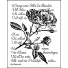 Stempel / pieczątka - LaBlanche - Written Rose