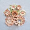 Papierowe kwiaty do rękodzieła - Little Birdie - Argyle Coral - 7 kwiatków