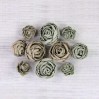Papierowe kwiaty do rękodzieła - Little Birdie - English Roses Sage - 10 kwiatków