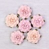Paper flower set - Little Birdie - Carol Blush - 6 flowers