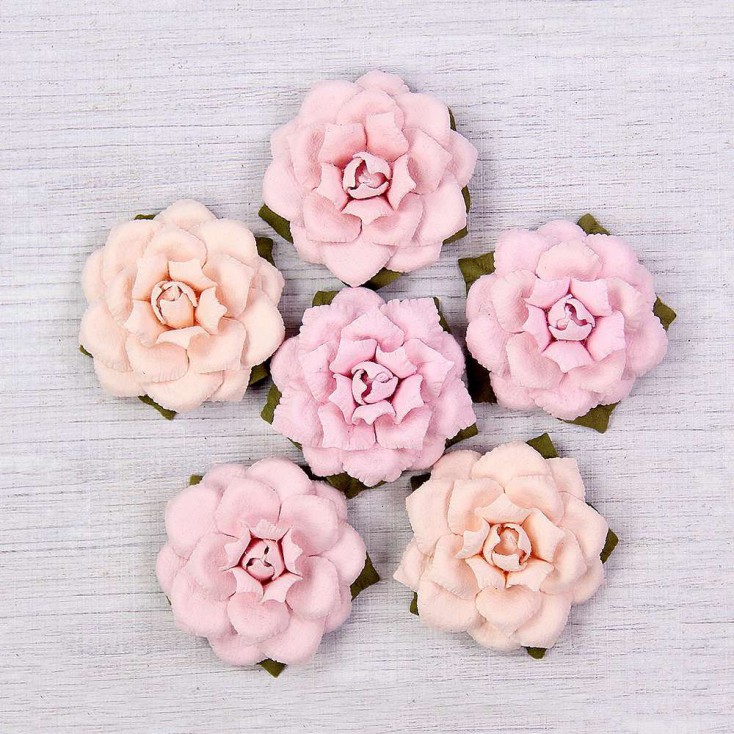 Paper flower set - Little Birdie - Carol Blush - 6 flowers