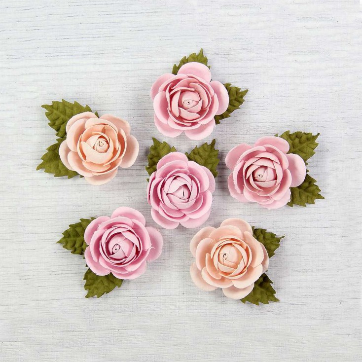 Paper flower set - Little Birdie - Sharon Blush - 6 flowers