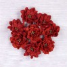 Paper flower set - Little Birdie - Serenade Cherry- 8 flowers