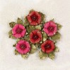 Papierowe kwiaty do rękodzieła - Little Birdie - Victorian Rosella Passion- 6 kwiatków