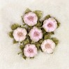 Papierowe kwiaty do rękodzieła - Little Birdie - Victorian Rosella Blush- 6 kwiatków