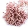 Flower stamen -matte powder pink - one bunch - 2mm