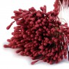 Pręciki do kwiatków - matowe czerwony - karminowy - pęczek - 2mm