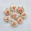 Paper flower set - Little Birdie - Angel Rose Amber - 8 flowers
