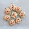 Papierowe kwiaty do rękodzieła - Little Birdie - Angel Rose Coral - 8 kwiatków