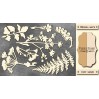 Set of cardboard - Chipboard - Fabrika Decoru - Botany Summer FDCH 77