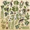 Scrapbooking paper -Fussy cuts elements -Botany summer - Fabrika Decoru