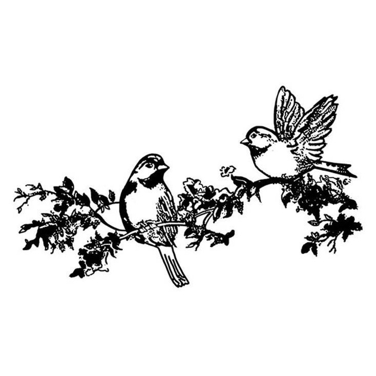 Set of clear stamps - Stamperia - Birds