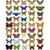 Folia z nadrukiem, nakładka - Fabrika Decoru -"Butterflies mini"