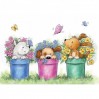 Set of clear stamps - Wild Rose Studio - Dogs in Pots CL515