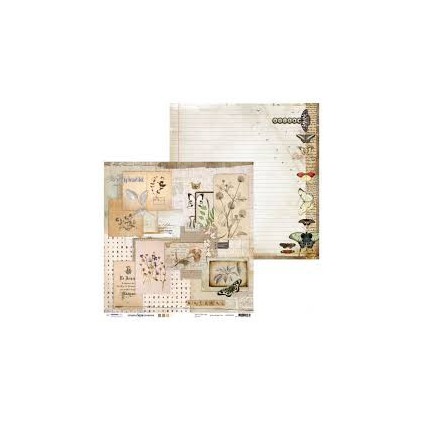 Papier do tworzenia kartek i scrapbookingu - Studio Light - Ultimate Scrap Collection - SCRAPUS04