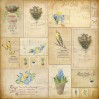 Set of scrapbooking papers - Fabrika Decoru 20 x 20cm - Botany Spring