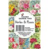 Decorer - Set of mini scrapbooking papers - Herbs and roses