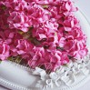 Papierowe róże w kolorze fuksji - zestaw 50 sztuk