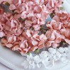 Powder coral paper roses set - 50 pcs