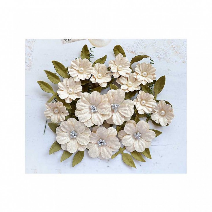 CR72074 - kwiatki papierowe - Fiorella Ivory - Little Birdie