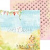 CC-ZPM-SP-F2 Set of papers 15 x 15 cm - Summertime Picnic - Craft O clock