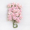 CR79238 - kwiatki papierowe - Little Birdie - Catalina Pearl pink