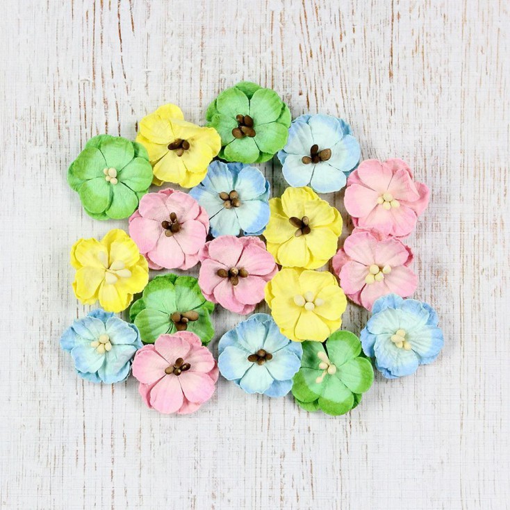 CR34630- kwiatki papierowe - Little Birdie - Spring Embossed Daisies