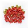 CR63040 kwiatki papierowe - Little Birdie - Renae Cherry
