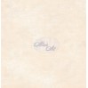 Scrapbooking paper 12x12" - The beautiful moments 01 - Altair Art Alt-BM-101