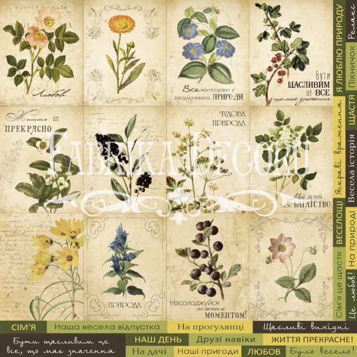 Papier do tworzenia kartek i scrapbookingu - Fabrika Decoru - Botany Summer - Obrazki do wycinania 02