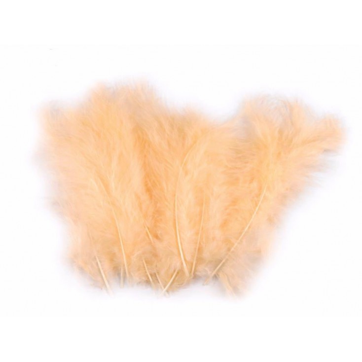 Ostrich feathers - peach