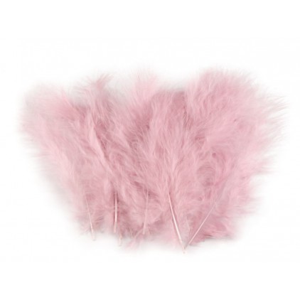 Ostrich feathers old bright pink