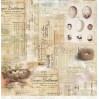 Scrapbooking paper 30x30 cm - Hummingbird Song 01 - Craft O Clock