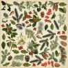 Scrapbooking paper - Fussy cuts elements - Winter botanical diary - Fabrika Decoru