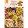 Paper die cutss - Autumn botanical diary - Fabrika Decoru - 56 - pieces