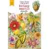 Paper die cutss - Botany exotic fruits - Fabrika Decoru - 54 - pieces