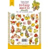 Paper die cutss - Botany exotic fruits - Fabrika Decoru - 54 - pieces