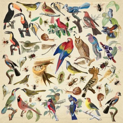 Papier scrapbooking - Obrazki do wycinania - Birds - Fabrika Decoru