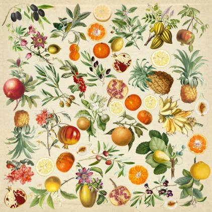 Papier scrapbooking - Obrazki do wycinania - Exotic fruits - Fabrika Decoru