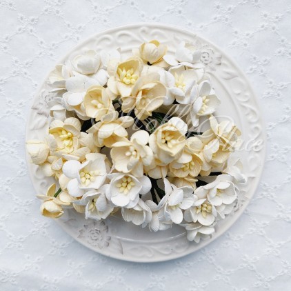 Papierowe kwiatki - zestaw mix kolorów 16 - kwiat wiśni - 50 sztuk