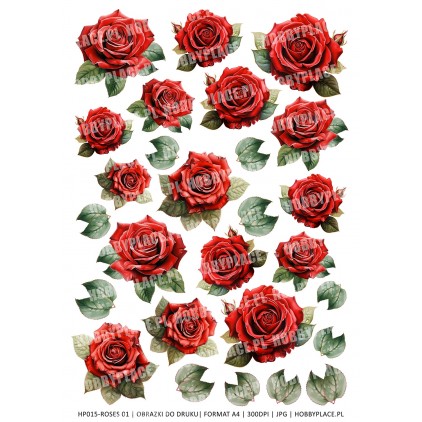 Printables - Roses 01 - Digital file for self-printing - A4 size