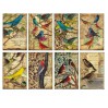 Decorer - Set of mini scrapbooking papers - Birds