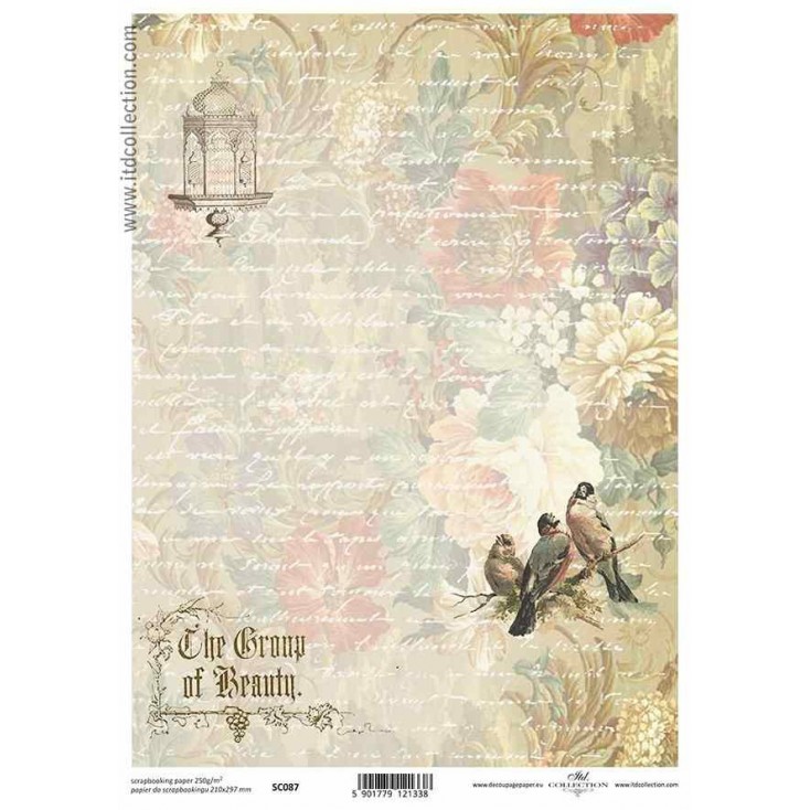ITD Collection - Scrapbooking paper - SC087
