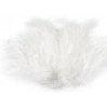 Ostrich feathers - White