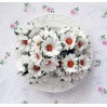 Daisy flower set - white - 25 pcs