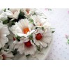 Daisy flower set - white - 25 pcs