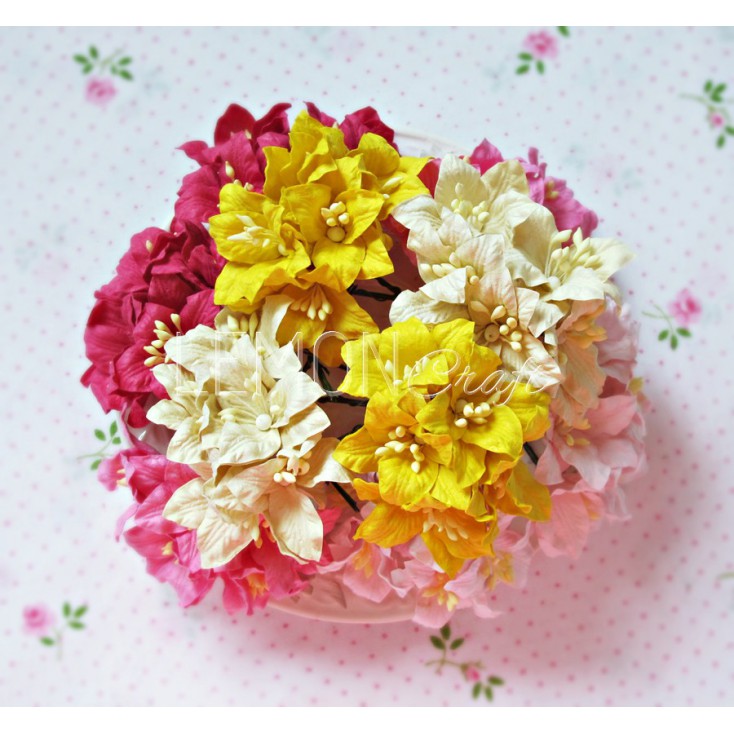 Paper lily flower set - mix 2 - 50 pcs